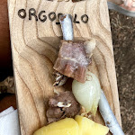 Photo n°2 de l'avis de Marco.u fait le 27/08/2021 à 11:15 sur le  Camping Ristorante Supramonte à Orgosolo