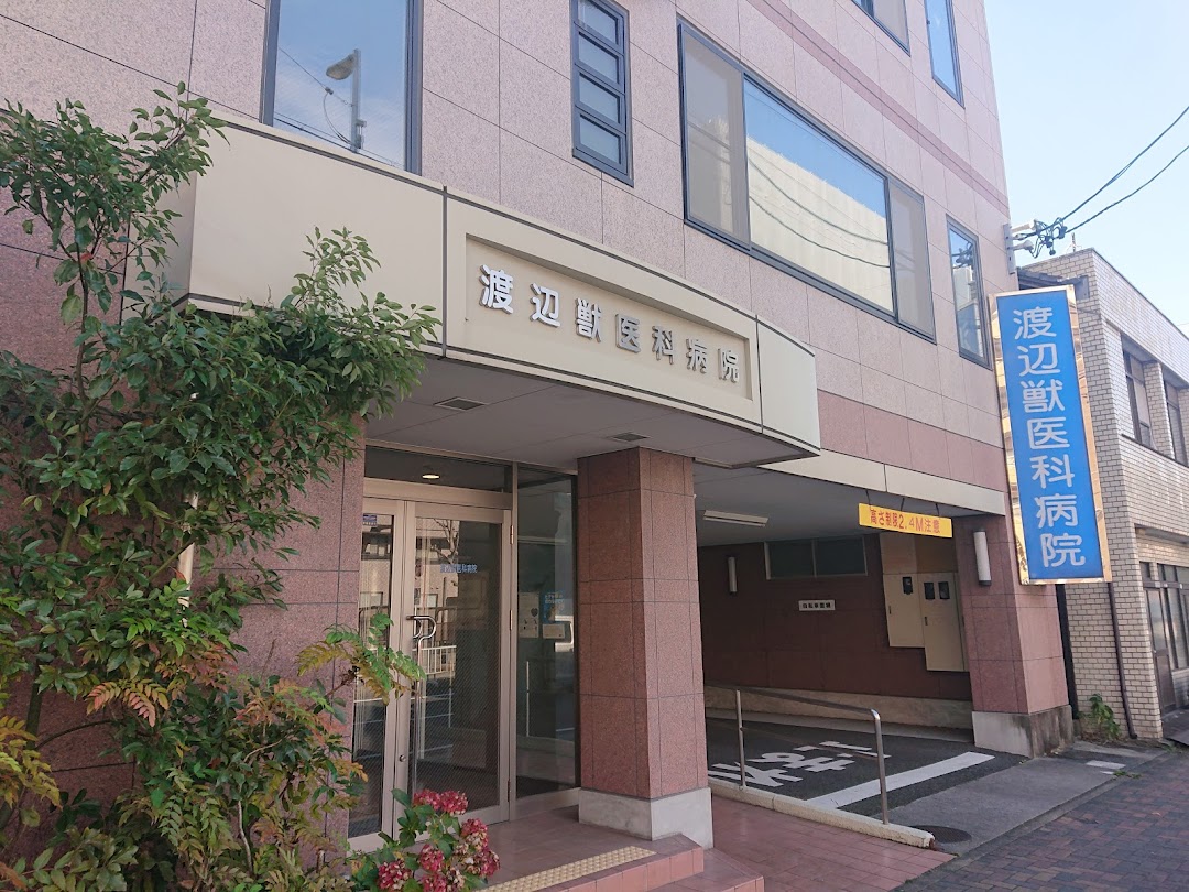 渡辺獣医科病院