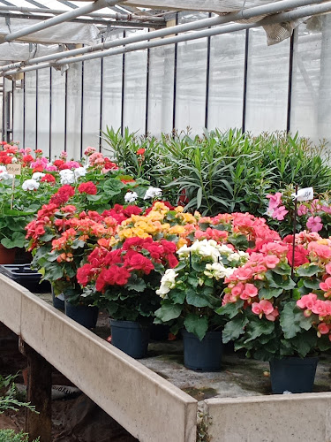 61 Rue des Mazes, 41000 Blois