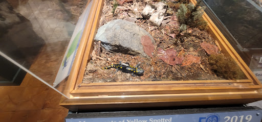 Natural History Museum «George B. Dorr Museum of Natural History», reviews and photos, 105 Eden St, Bar Harbor, ME 04609, USA