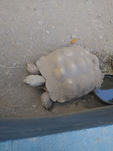 Zoo «Bailiwick Animal Park and Riding Stables», reviews and photos, 118 Castle Rd, Catskill, NY 12414, USA