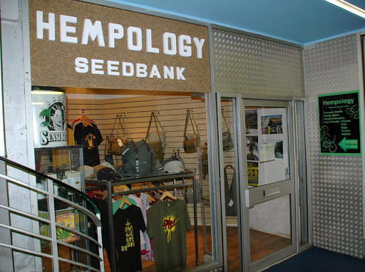 Hempology Cannabis Seeds