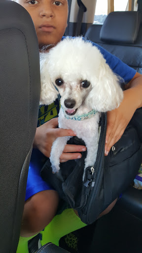 Pet Supply Store «PetSmart», reviews and photos, 263 Midway Blvd, Elyria, OH 44035, USA