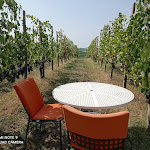 Photo n°1 de l'avis de Carolina.o fait le 22/08/2021 à 21:43 sur le  Locanda San Lupo à Ziano Piacentino