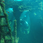 Photo n° 5 de l'avis de Deev. fait le 20/08/2023 à 08:45 pour Dive Center Hippocampe à Porto-Vecchio