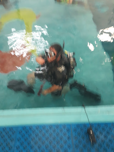 Cetus Dive Center Mexico