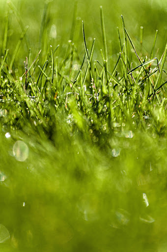 Spezialisten für Landschaftsgestaltung Munich