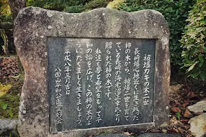Hachimenzanheiwa Park image