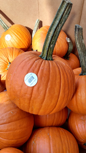 Supermarket «Weis Markets», reviews and photos, 1020 Northern Blvd, South Abington Township, PA 18411, USA