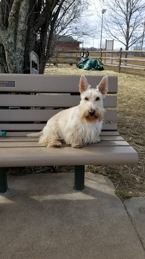 Dog Park «South Kingstown Dog Park», reviews and photos, 55 St Dominic Rd, South Kingstown, RI 02879, USA