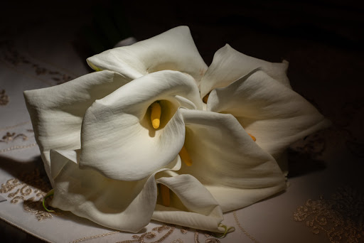 Florist «A Rose In December Inc», reviews and photos, 629 Stokes Rd #2, Medford, NJ 08055, USA