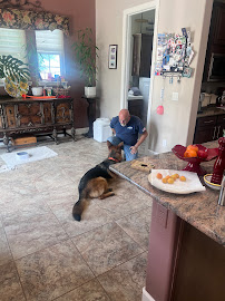 Have Lights Will Travel - Photo 8 - Car repair in Reno, NV, Reno