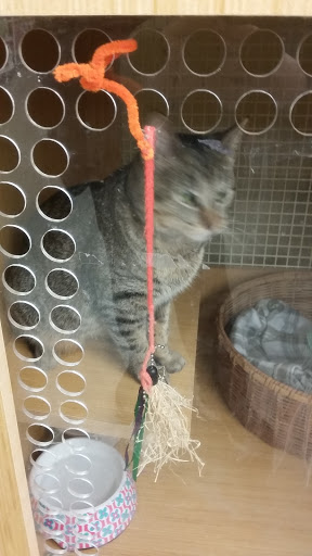 Pet Supply Store «Petco Animal Supplies», reviews and photos, 1215-1309 NJ-33 #1, Hamilton Township, NJ 08690, USA