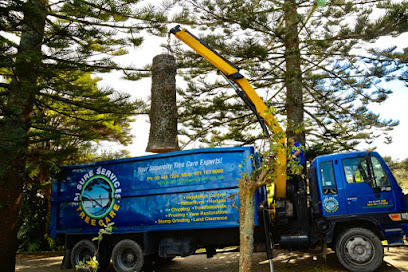 A1 Sure Services - Auckland's Leading Arborist and Tree Services Company