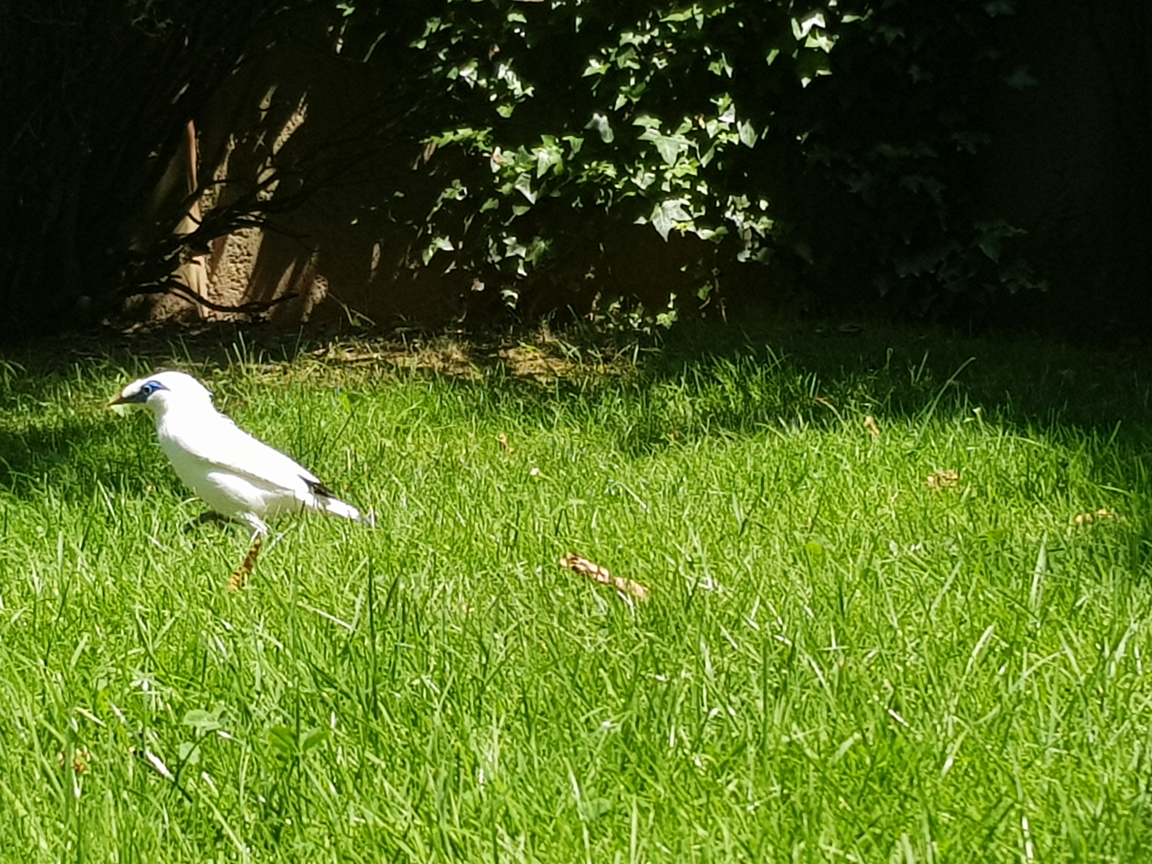 Photo n° 9 de l'avis de Tako.a fait le 27/08/2021 à 13:08