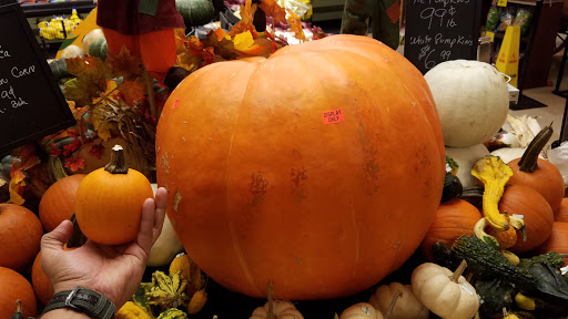 Grocery Store «Hannaford Supermarket», reviews and photos, 19 Clifton Country Rd Suite 16, Clifton Park, NY 12065, USA