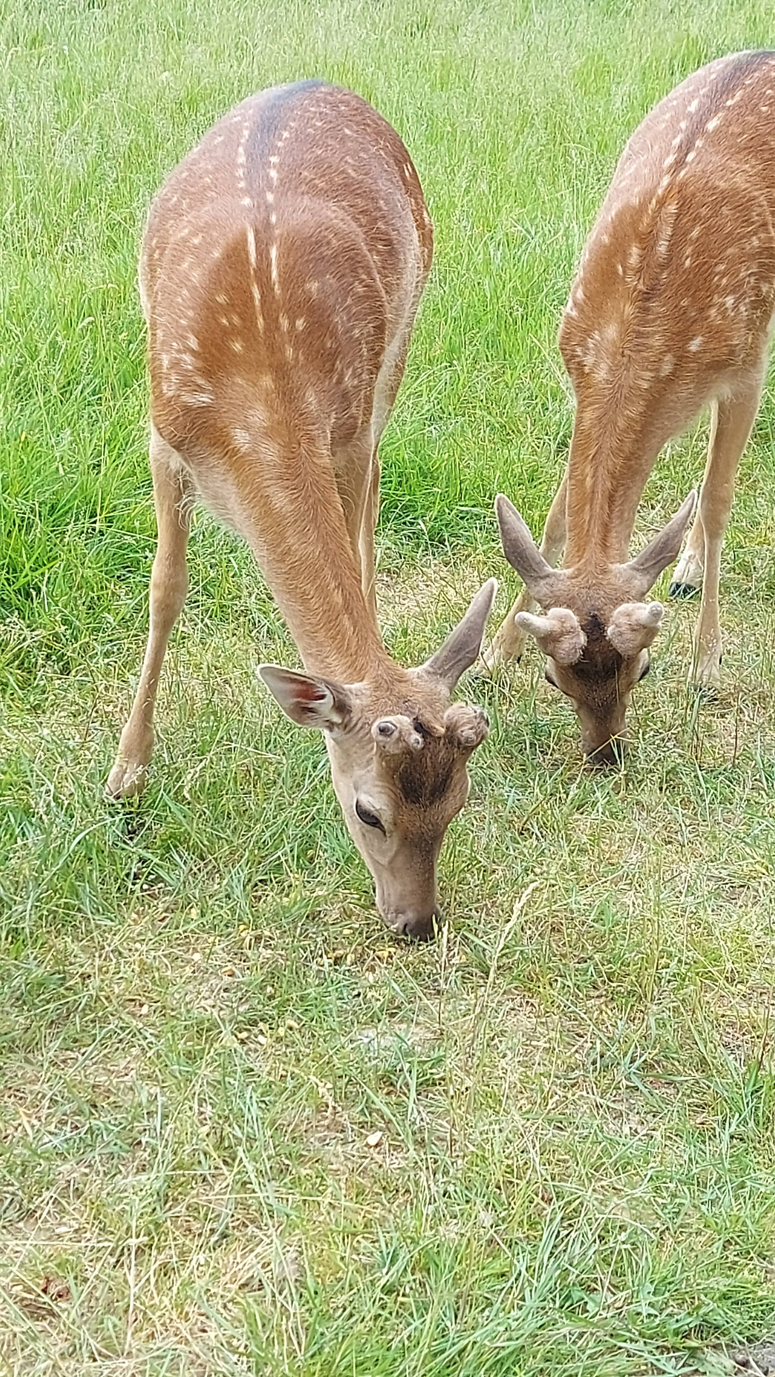 Photo n° 4 de l'avis de Anais. fait le 29/05/2022 à 19:46