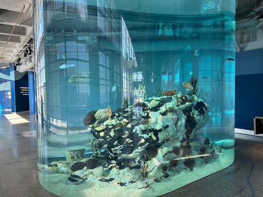 Aquarium «South Carolina Aquarium», reviews and photos, 100 Aquarium Wharf, Charleston, SC 29401, USA