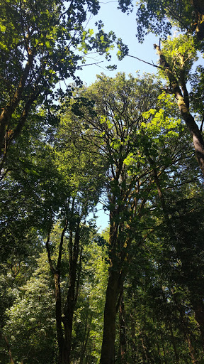 Park «Carkeek Park», reviews and photos, 950 NW Carkeek Park Rd, Seattle, WA 98177, USA
