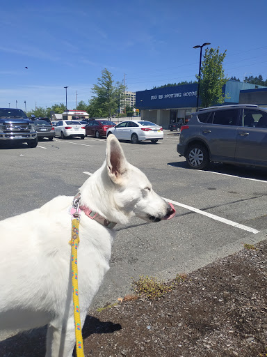 Sporting Goods Store «Big 5 Sporting Goods - Factoria», reviews and photos, 4055 Factoria Blvd SE, Bellevue, WA 98006, USA