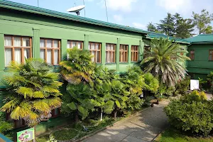 Dacha Stalina image