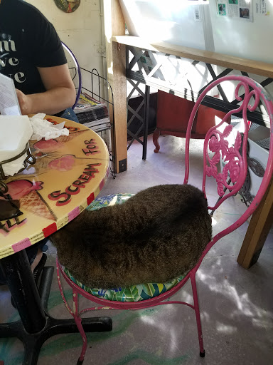 Ice Cream Shop «Great Licks Ice Cream Shop», reviews and photos, 4643 Pine Island Rd, Matlacha, FL 33993, USA