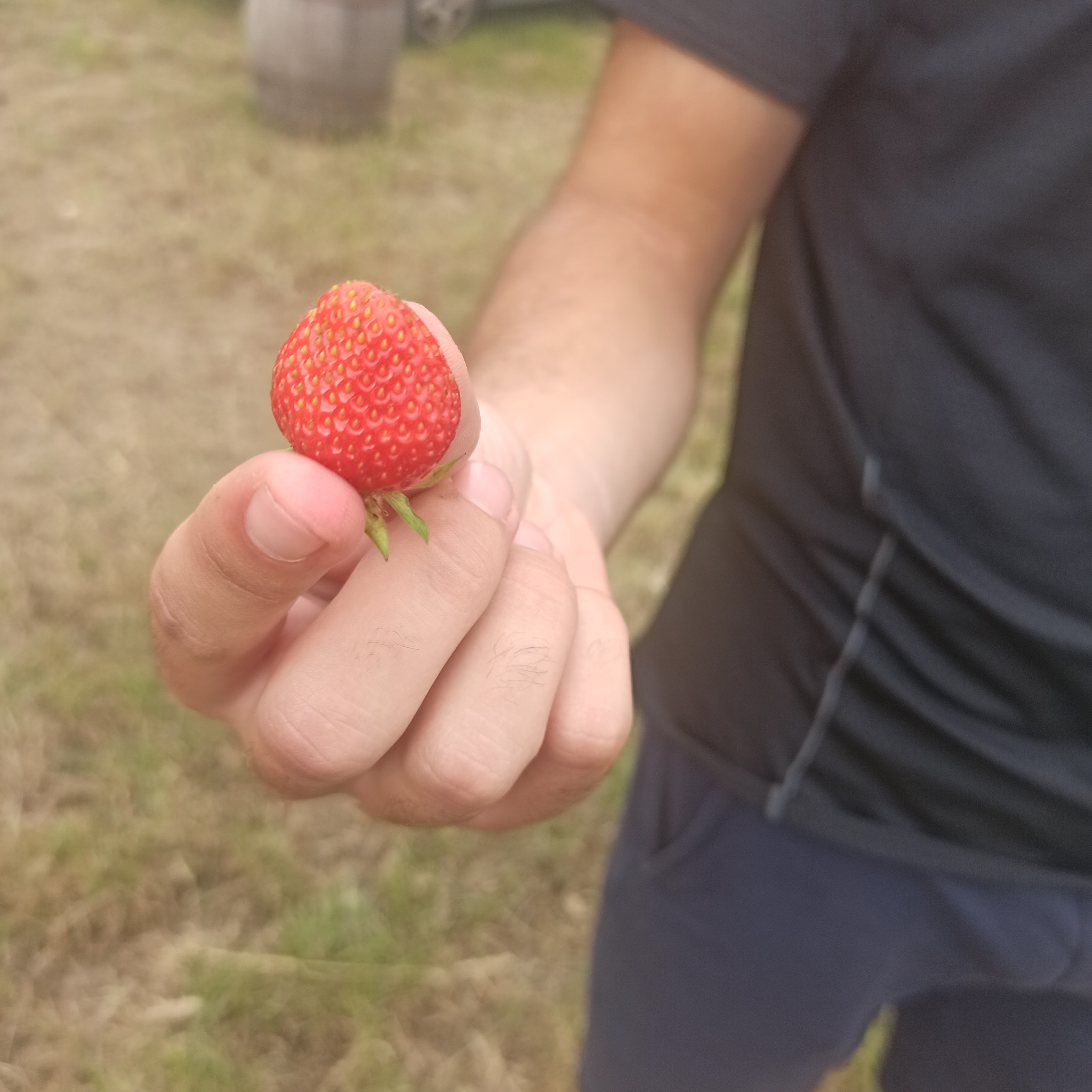 Photo n° 4 de l'avis de Shlomi.a fait le 20/07/2022 à 15:06