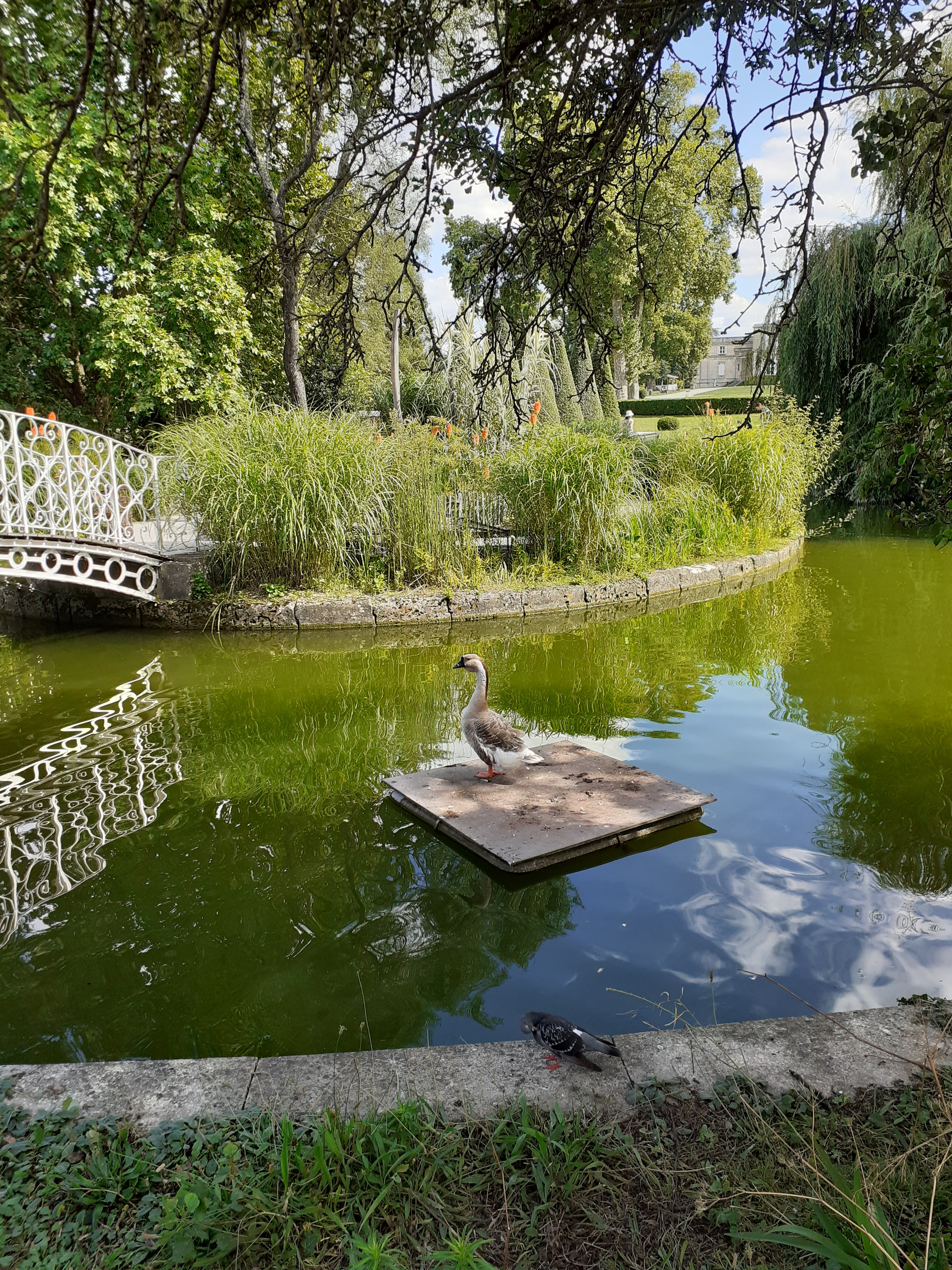 Photo n° 3 de l'avis de Marie-Claude.E fait le 16/02/2022 à 23:58