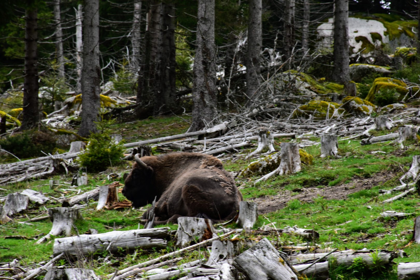 Photo n° 3 de l'avis de Muriel.e fait le 09/05/2023 à 12:53