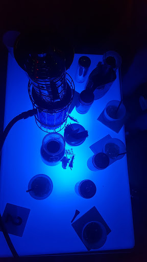 Night Club «Mojitos Country Club», reviews and photos, 44 Mazzeo Dr, Randolph, MA 02368, USA