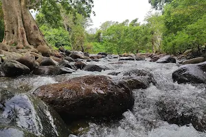 Ayyanar Kovil Waterfalls image