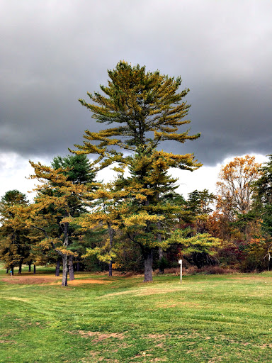 Golf Course «Pine Ridge Golf Course», reviews and photos, 2101 Dulaney Valley Road, Lutherville, MD 21093, USA