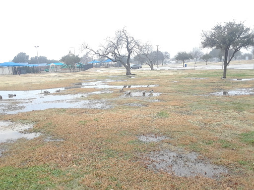 Recreation Center «Rosemeade Recreation Center», reviews and photos, 1330 E Rosemeade Pkwy, Carrollton, TX 75007, USA