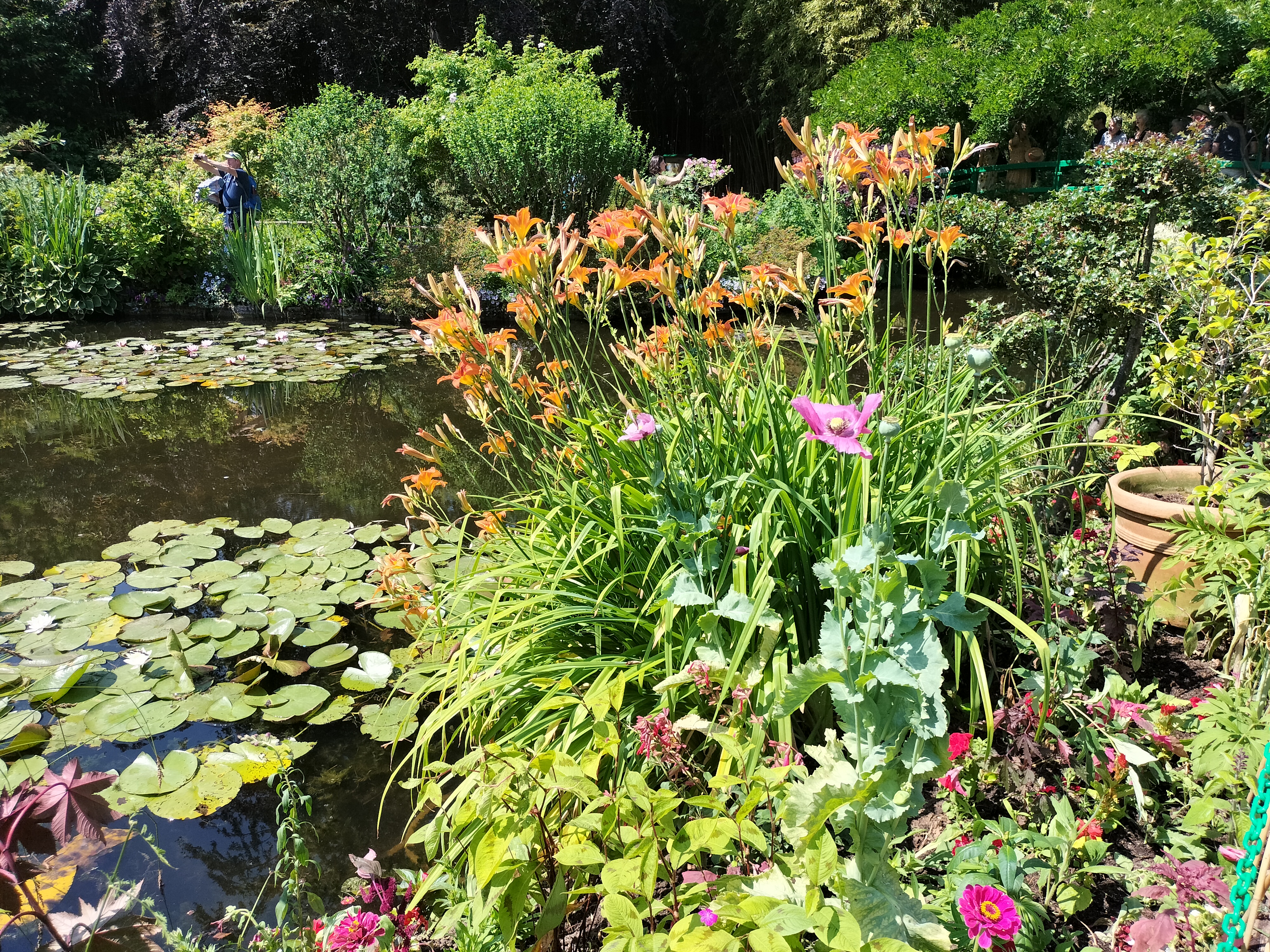 Photo n° 49 de l'avis de didier.e fait le 15/06/2023 à 13:38