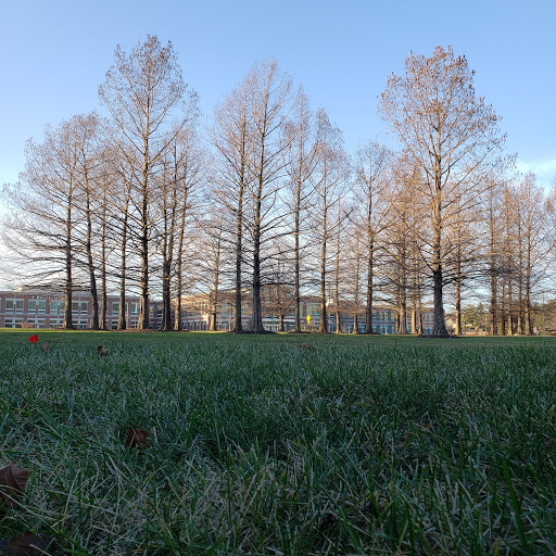 Insurance Agency «GEICO Corporate Office», reviews and photos