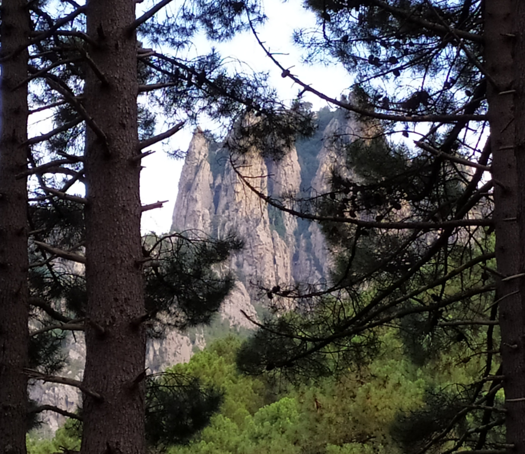 Photo n° 1 de l'avis de catherine.o fait le 20/07/2019 à 19:16