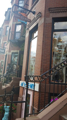 Pet Supply Store «The Fish & Bone, Boston MA», reviews and photos, 217 Newbury St, Boston, MA 02116, USA