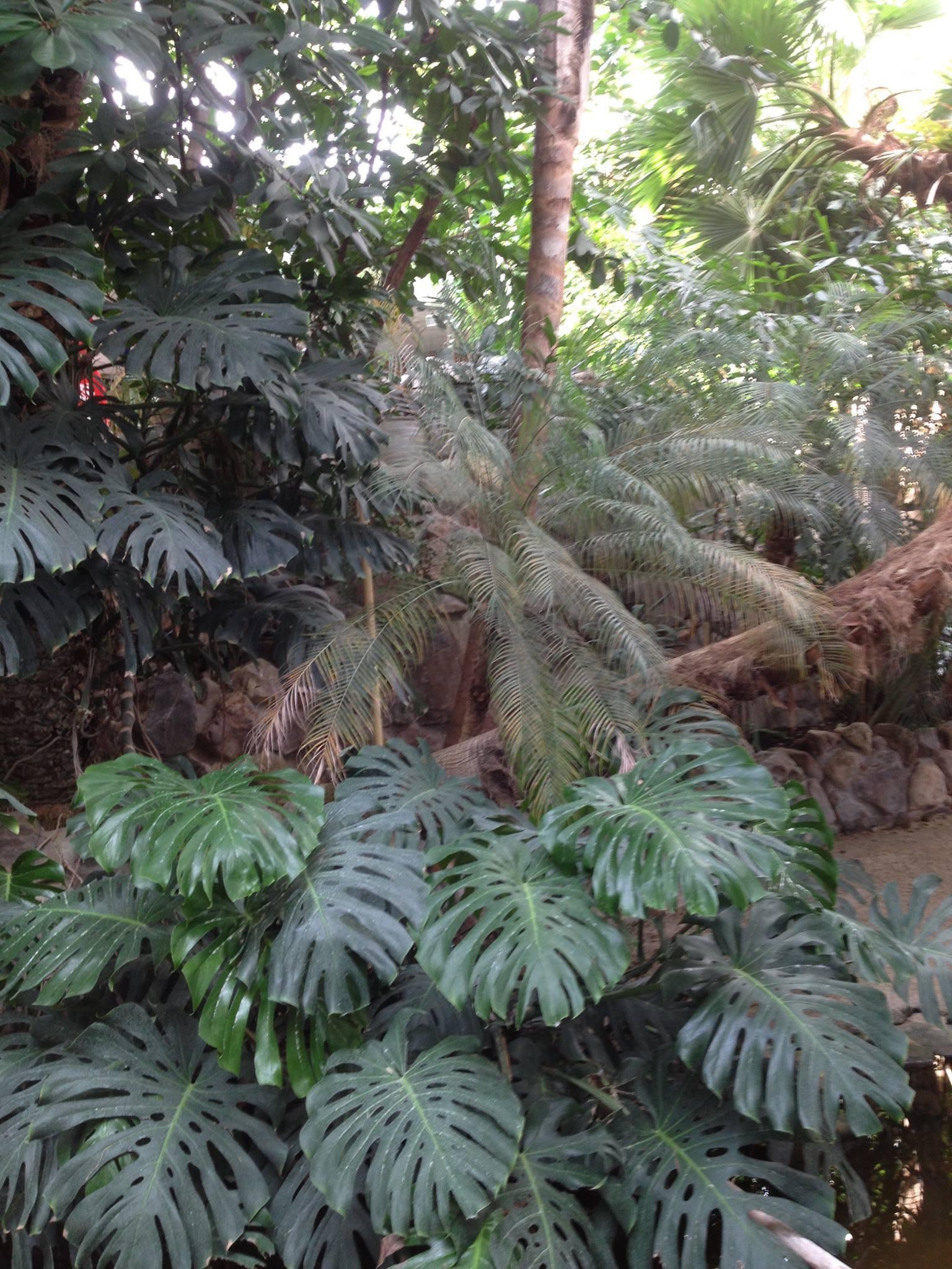 Photo n° 3 de l'avis de Laëtitia.r fait le 25/11/2023 à 06:34