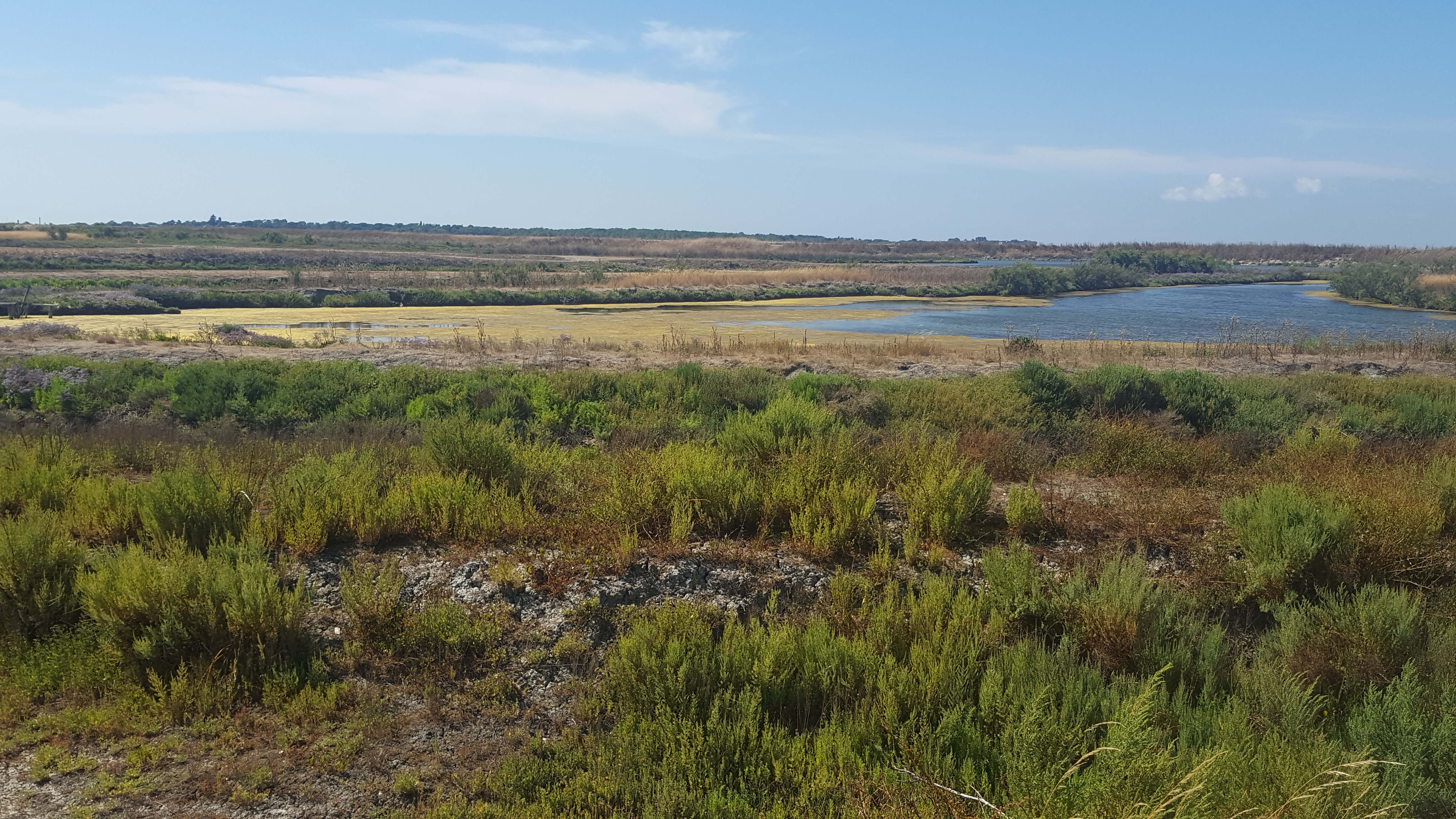 Photo n° 3 de l'avis de Laurent. fait le 20/07/2018 à 16:02