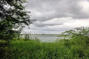 Nandyal Lake image