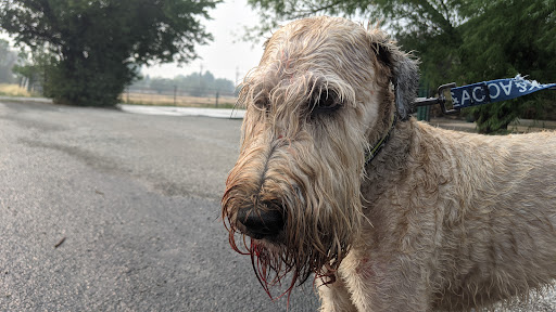 Golf Course «Oquirrh Hills Golf Course», reviews and photos, 1255 E Vine St, Tooele, UT 84074, USA