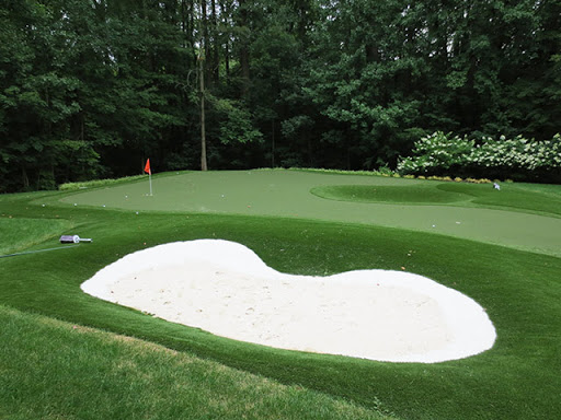 Elite Artificial Grass image