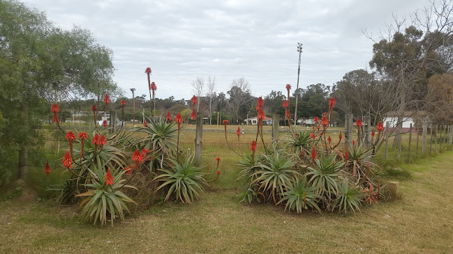 Padua, 15000 Ciudad de la Costa, Departamento de Canelones, Uruguay