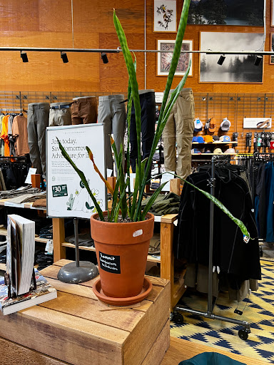 Camping Store «REI», reviews and photos, 240 Andover Park W, Tukwila, WA 98188, USA