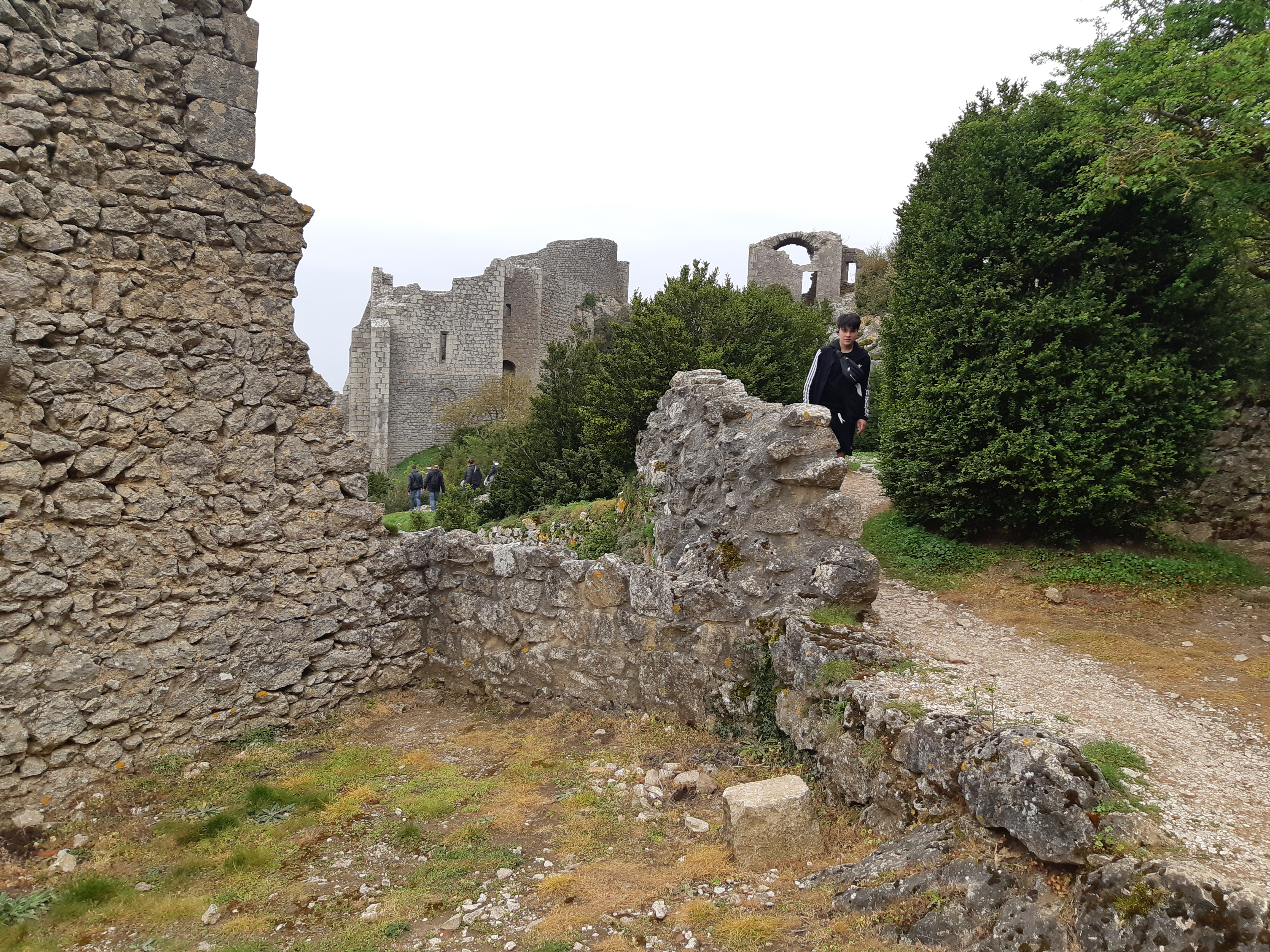 Photo n° 2 de l'avis de Olive.. fait le 22/04/2019 à 16:32