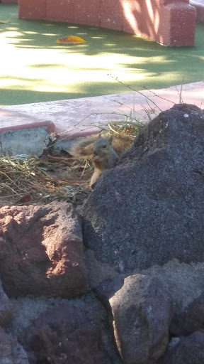 Public Golf Course «Arroyo Seco Golf Course», reviews and photos, 1055 Lohman Ln, South Pasadena, CA 91030, USA