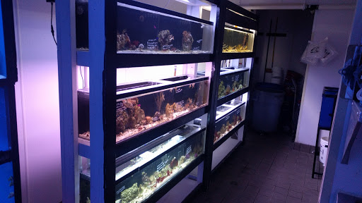 Pet Supply Store «House of Pets Inc», reviews and photos, 29500 Ford Rd, Garden City, MI 48135, USA