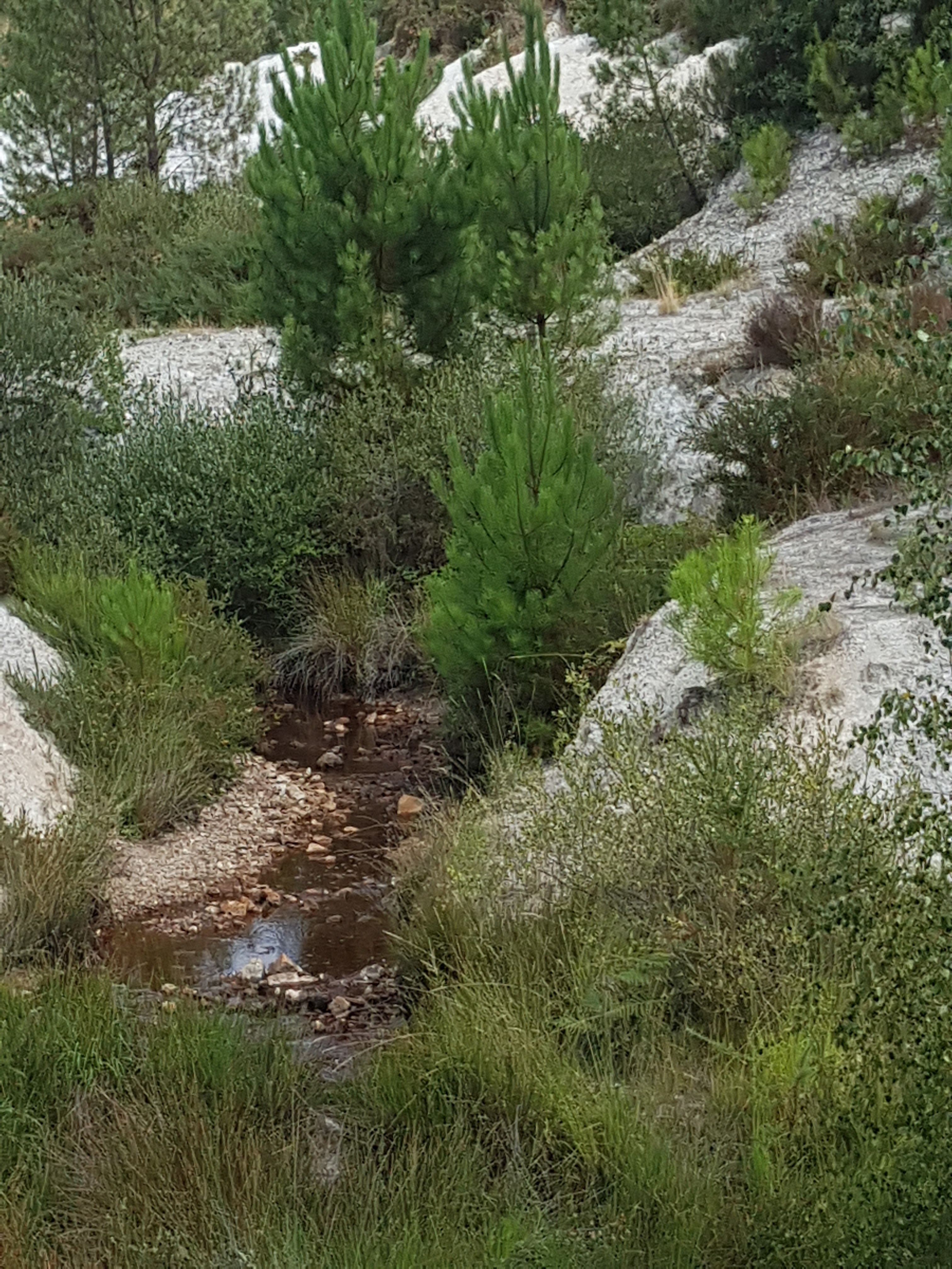 Photo n° 4 de l'avis de Clarga.l fait le 13/08/2020 à 15:25