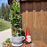 Photo n°1 de l'avis de Katja. fait le 12/05/2024 à 11:51 sur le  Berggasthaus Zum Oberen Horn à Bad Hindelang