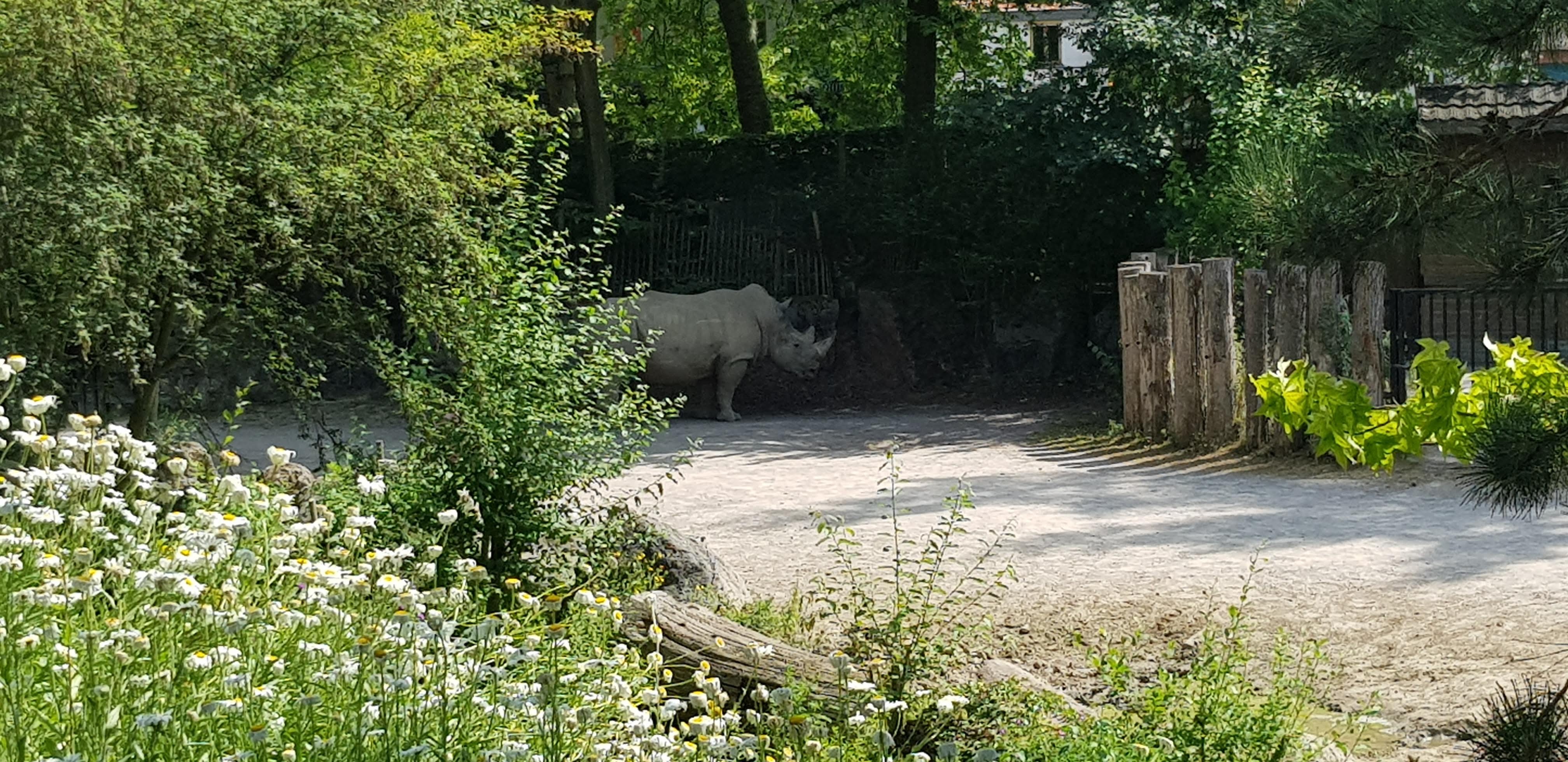 Photo n° 15 de l'avis de Nuk3d.t fait le 13/10/2019 à 18:58